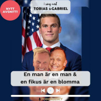 308. En man är en man amp en fikus är en fikus