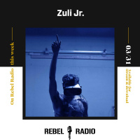 Zuli Jr.: Everything is direct to consumer now