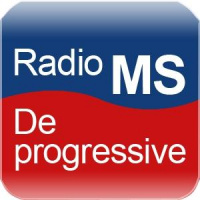 Identitet i kørestolen