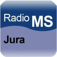 Merudgifter og §100