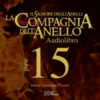 LIbro II, Capitolo IV - Un Viaggio nellOscurità