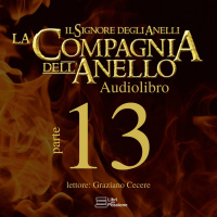 LIbro II, Capitolo II - Il Consiglio di Elrond