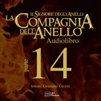 LIbro II, Capitolo III - LAnello va a Sud