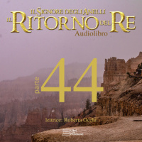 Libro V, Capitolo II - Il passaggio della grigia compagnia (The Passing of the Grey Company)