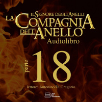 Libro II, Capitolo VII - Lo Specchio Di Galadriel