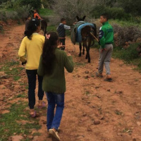 Berberlandsby Marokko