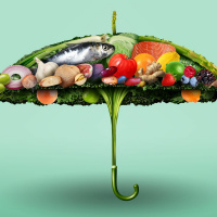 A systems approach to food insecurity