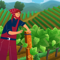 Social Sector Intermediaries: what are they  what do they need?