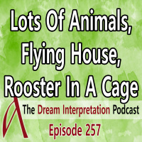 Lots of Animals, Flying House, Rooster in a cage