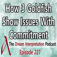 How 3 Goldfish Show Issues With Commitment