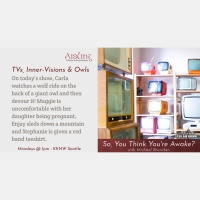 TVs, Inner-Visions and Owls