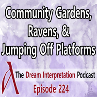 Community Gardens, Ravens, and Jumping Off Platforms