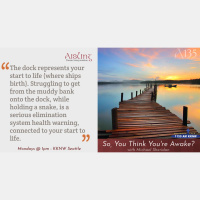 Issues Connected With Your Start to Life