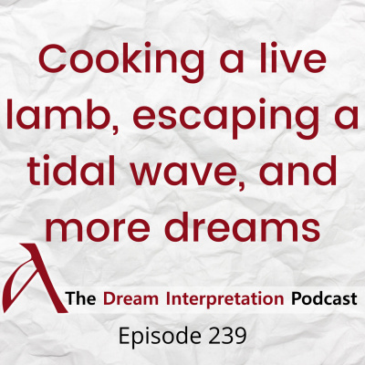 Aisling Dream Interpretation