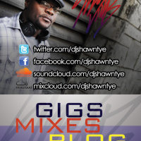 DJ Shawn Tye presents Party in Miami (house music mix) spring 2011 (dedicated to the WIZ )