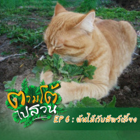 ตามโต้ไปสวน EP 6 : ต้นไม้กับสัตว์เลี้ยง