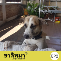 Dogs Nation EP2 - อาหารหมา
