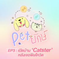 Pet ยักษ์ EP3 : เปิดบ้าน ‘Catster’ หลังเจอพิษโควิด