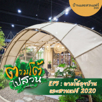 ตามโต้ไปสวน EP.5 ตามโต้ลุยบ้านและสวนแฟร์ 2020