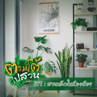 ตามโต้ไปสวน EP1 : สวนเล็กในห้องน้อย
