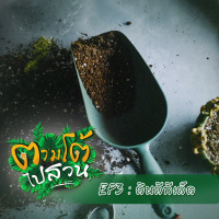ตามโต้ไปสวน EP3 : ดินดีทีเด็ด