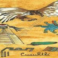 12 SENTIR AVANT D AGIR LEZARD fr du vendredi 6 mars 2015