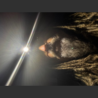 S08 E12 - What Did You Expect?