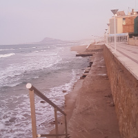 La gestió sostenible de la costa: Pativel i sistemes dunars