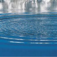 Ciència propera Programa 4