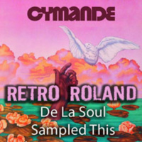 RETRO ROLAND - DE LA SOUL SAMPLED THIS??? - MAY, 2011 