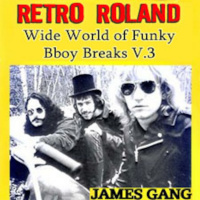 RETRO ROLAND - WIDE-WORLD OF FUNKY BBOY BREAKS V.3 - JAN, 2012