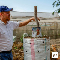 Radio Suomesta poimittuja: Mihin kehitysavun leikkaus johtaakaan?
