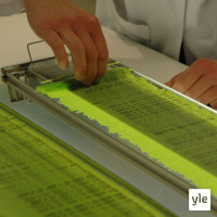 Radio Suomesta poimittuja: Sonniasemalla osa 2: sperma syynätään tarkkaan