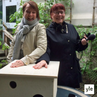 Radio Suomesta poimittuja: Siilinpesän teko on ruohonjuuritason eläinsuojelua