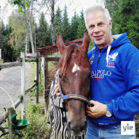 Radio Suomesta poimittuja: Kari Vepsä tekee pukittelevasta hevosesta kiltin kumppanin