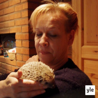 Radio Suomesta poimittuja: Kirsi on siilien iloinen orja