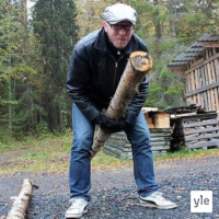 Radio Suomesta poimittuja: Sananen – Kesäkunto on arvoitus