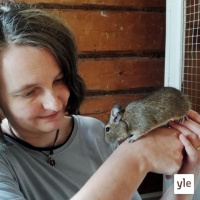 Radio Suomesta poimittuja: Torvimyyräpojat Bruno ja Hugo pulputtavat onnellisina toisilleen