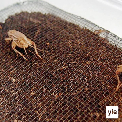 Radio Suomesta Poimittuja