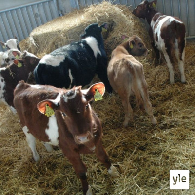 Radio Suomesta Poimittuja