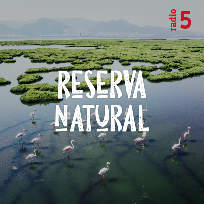 Reserva Natural