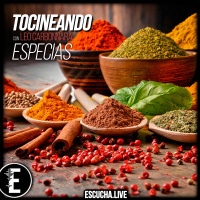 Tocineando 13: Especias