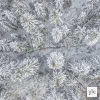 Perspektiivin valinnan sietämätön keveys