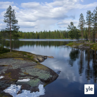 Tekoälylomasijainen