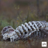 Ei luonnossa tarvitse pelätä, eihän?