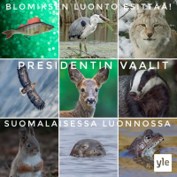 Luonnon presidentinvaalit! 