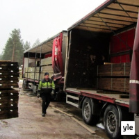 Jokapaikan Reetta: Rekan kyydissä