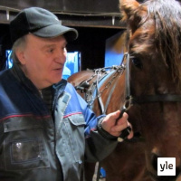 Jokapaikan Reetta: Oulussa raveissa