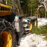 Jokapaikan Reetta: Hakkuutyömaalla Kuopion Soisalossa
