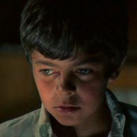 What Ever Happened to Donald Duck?